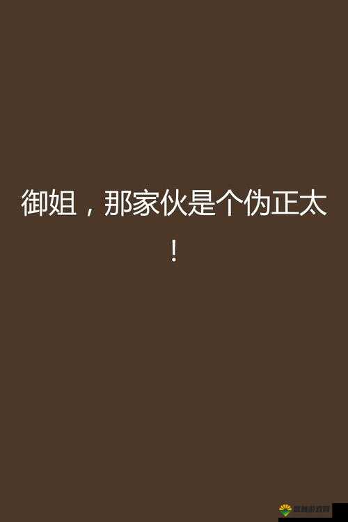 正太萝莉御姐养成记，永恒战记多样化英雄养成攻略的深度解析