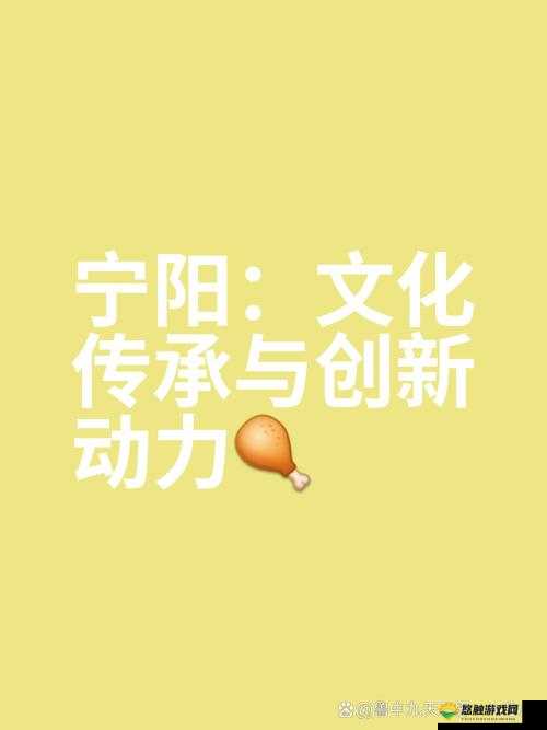 中国内射:中国文化的独特魅力与创新发展之路
