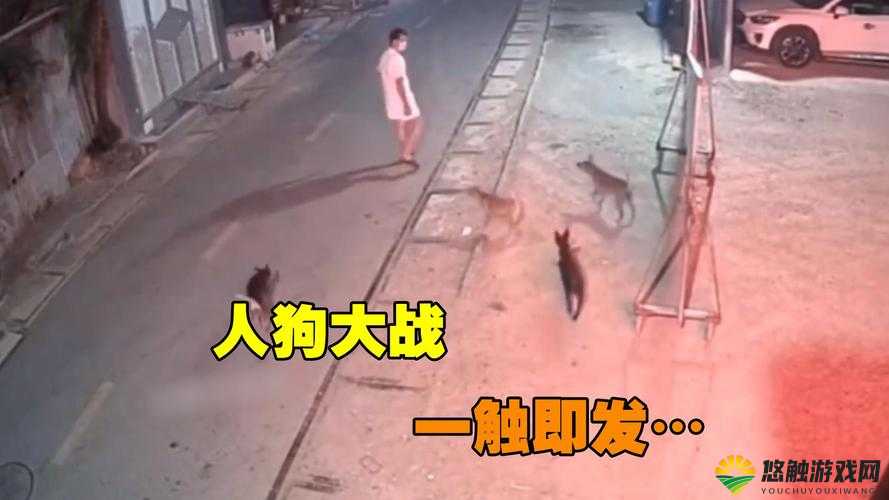 python 人狗大战:精彩对决一触即发