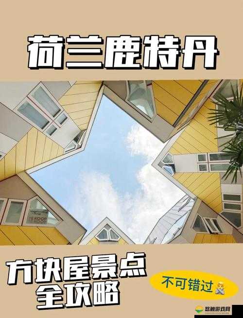 荷兰少归 BVBV：探索其独特魅力与未知之旅