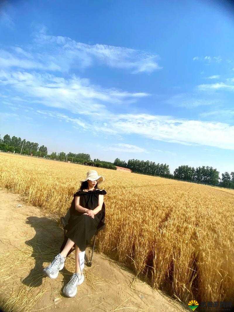 抵押朋友的麦子:一段引发争议的离奇交易历程