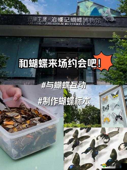 蝴蝶传媒旧版：探寻过往精彩内容的珍贵宝藏