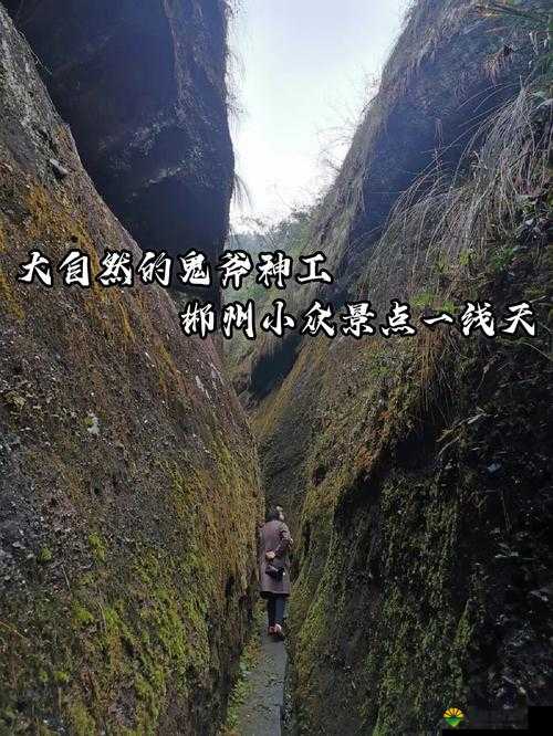 一线二线三线天堂：探寻别样的奇幻之旅