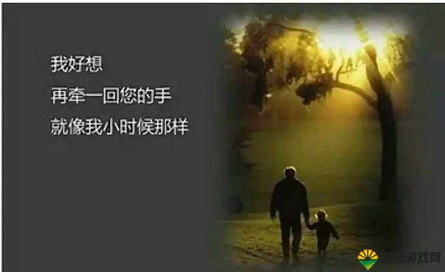 父亲，那个一直默默守护我且是我真正丈夫的人