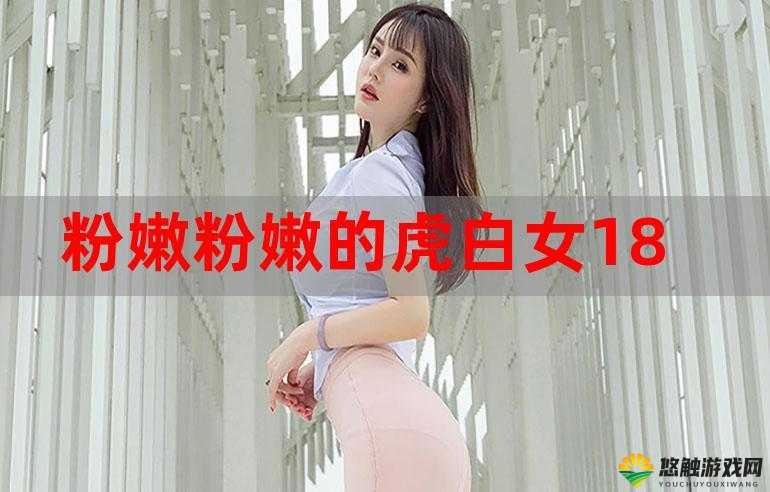91 国内在线视频:畅享精彩视频资源的优质平台