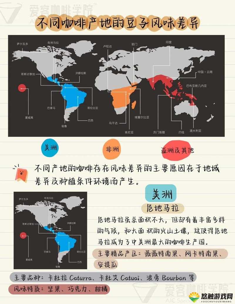 欧美精品一产区特点与二产区特点之差异剖析