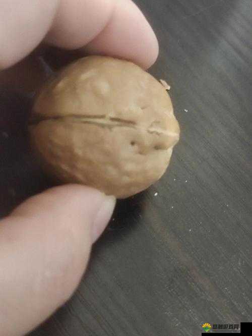 有 60 颗珠子两人轮流从中取，如何公平分配才能皆大欢喜？