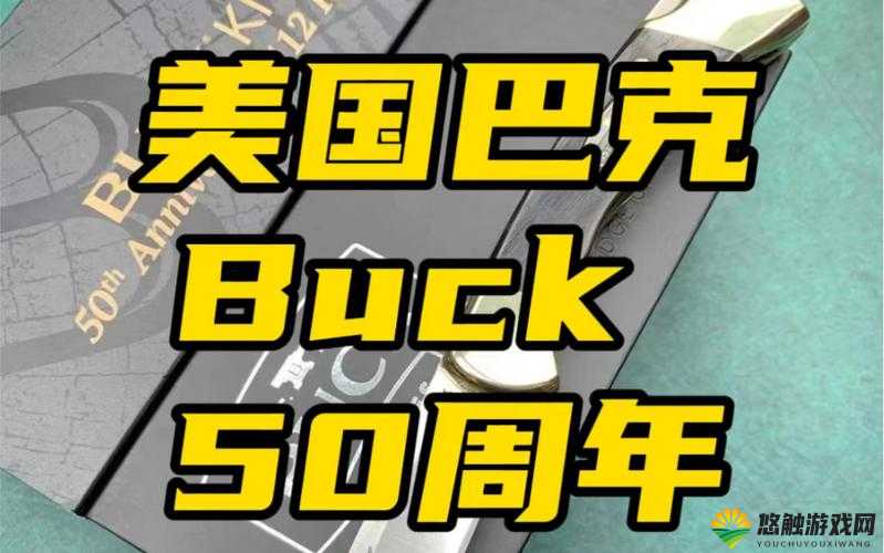 巴克日 b 之完整性的独特魅力探讨