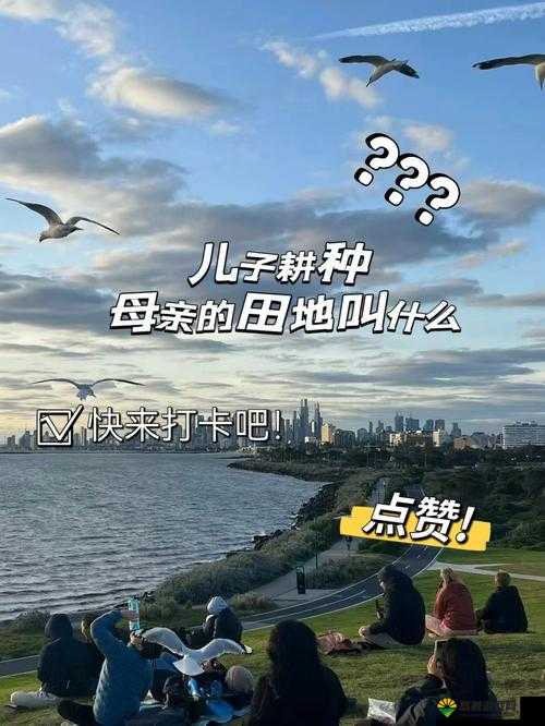 儿子耕种母亲的田地叫什么名字:探究背后的土地传承与亲情关联