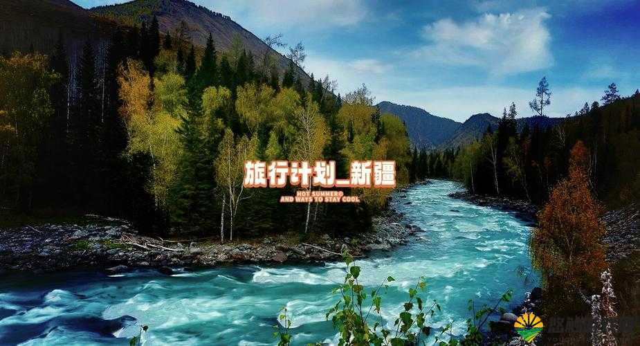新疆 XXXXXL196 :探寻神秘西域的独特魅力之旅