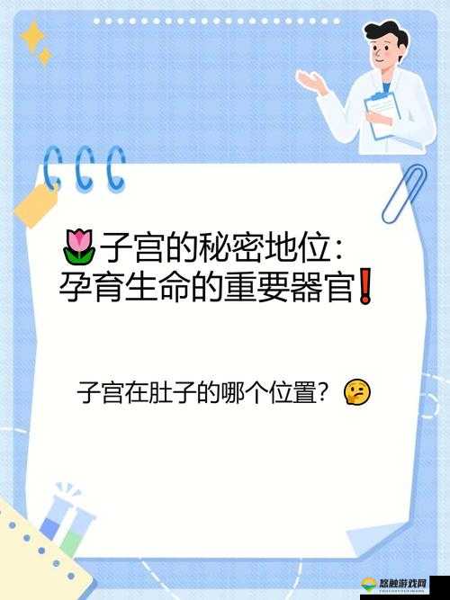 当仙女的肚子成为孕育精华的温床:探究仙女肚子里面满满的都是精华的秘密