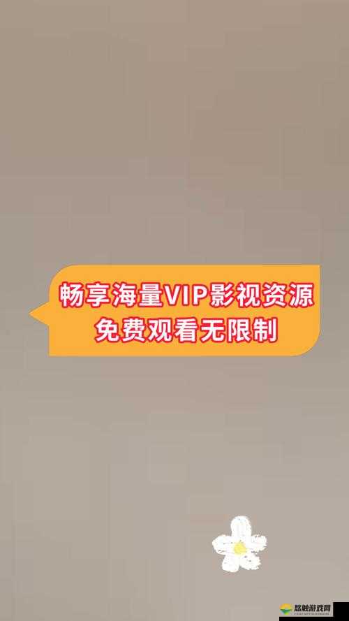 91 影视在线看免费观看:畅享海量精彩影视资源