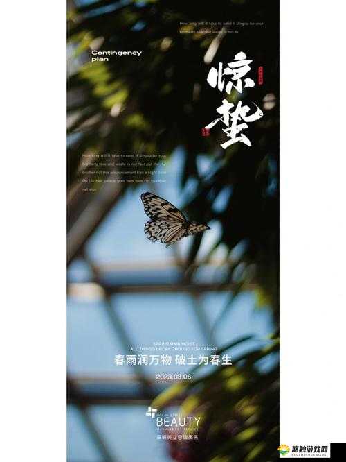 双人游戏 by 春雨惊蛰:一场充满趣味与挑战的精彩互动之旅