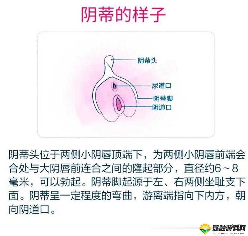 大荫蒂黑又大毛茸茸高清:揭秘女性私密部位的奥秘