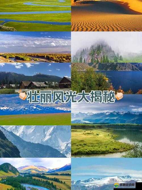探索天堂资源最新版的独特魅力与精彩之处