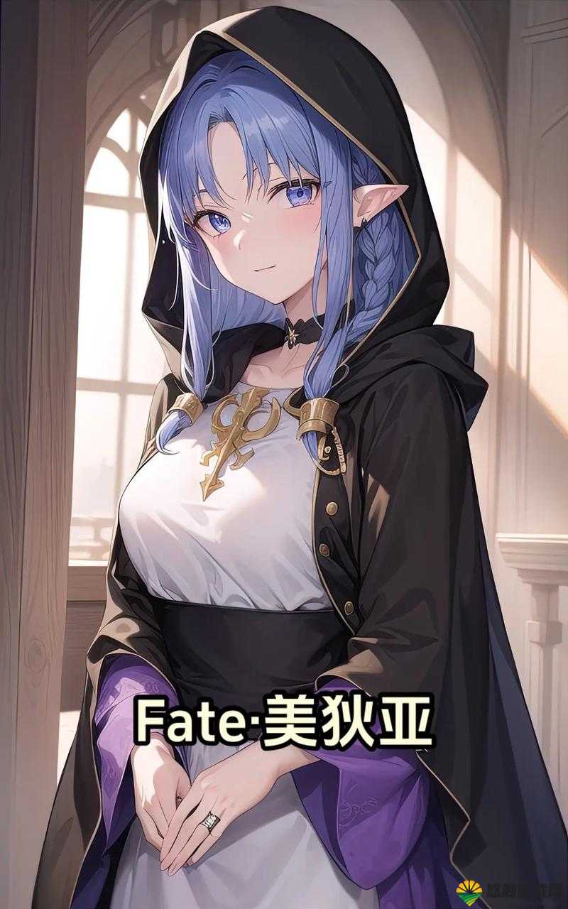 Fate英灵战记美狄亚图文介绍
