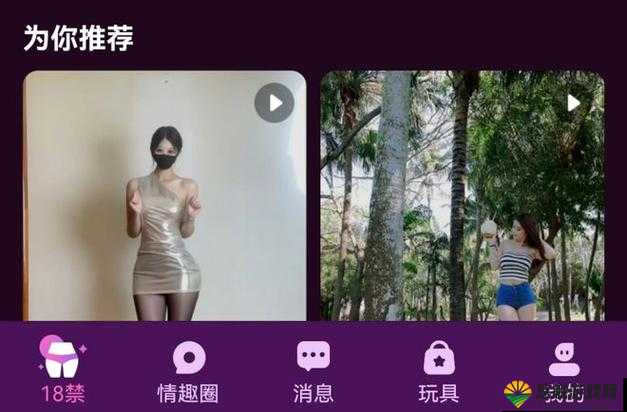 高清无码成年人视频:极致私密的私人空间,你懂的
