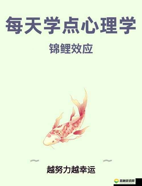 鲤鱼吸水正确姿势之优雅展现与奥秘探究
