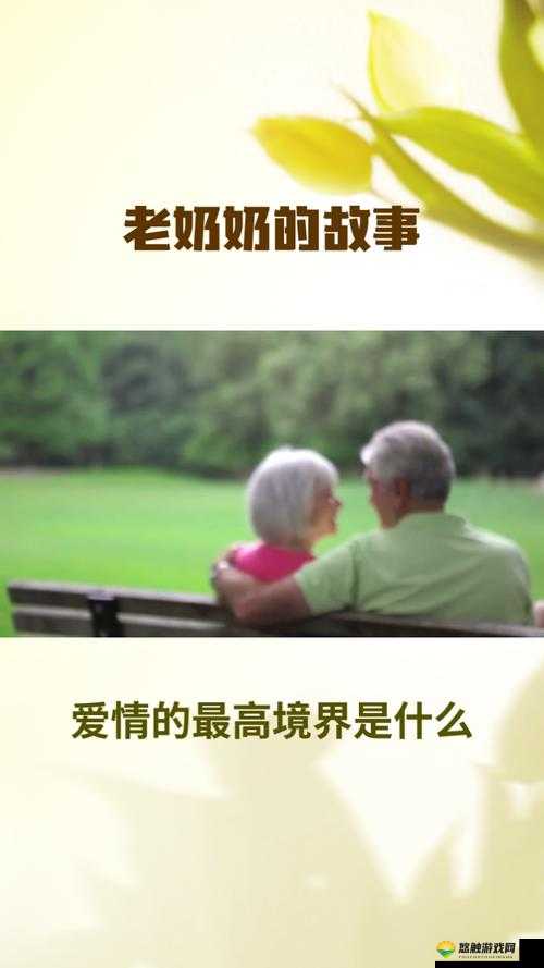 爱情岛论坛夜夜观久久:探讨爱情的真谛