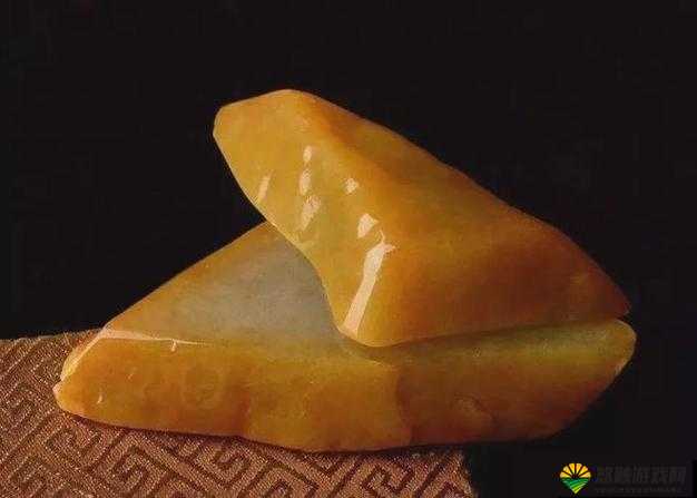 黄www.的独特魅力与非凡价值探讨
