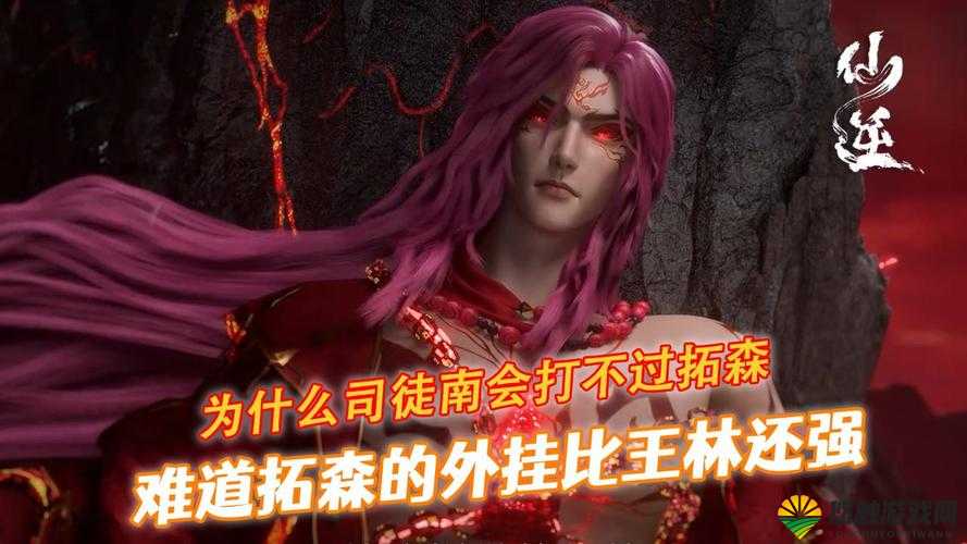 仙逆拓森与司徒南卡牌选择深度解析