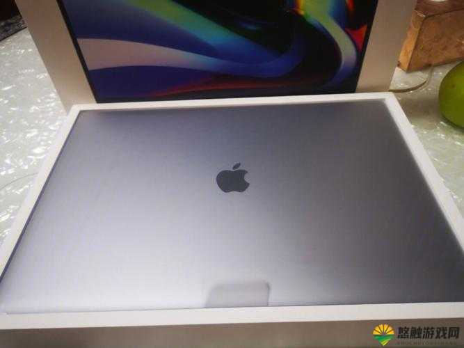16 岁 MacBookPro 日本-关于其背后的故事与独特魅力