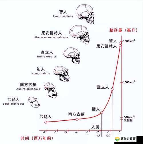 探秘非洲:人性功能强大的背后真相