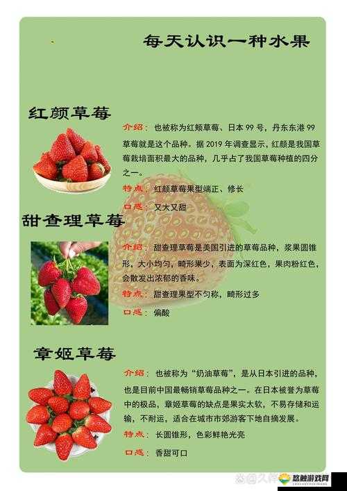 草莓 my.1688 优质草莓产品尽在其中