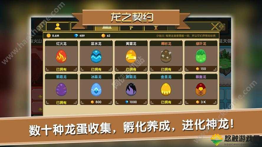 龙之契约如何快速升级,资源管理、技巧与避免浪费的策略