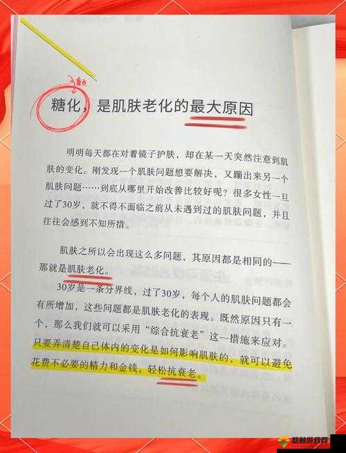 熬夜去黄必备YYDS:让肌肤焕亮的秘密武器