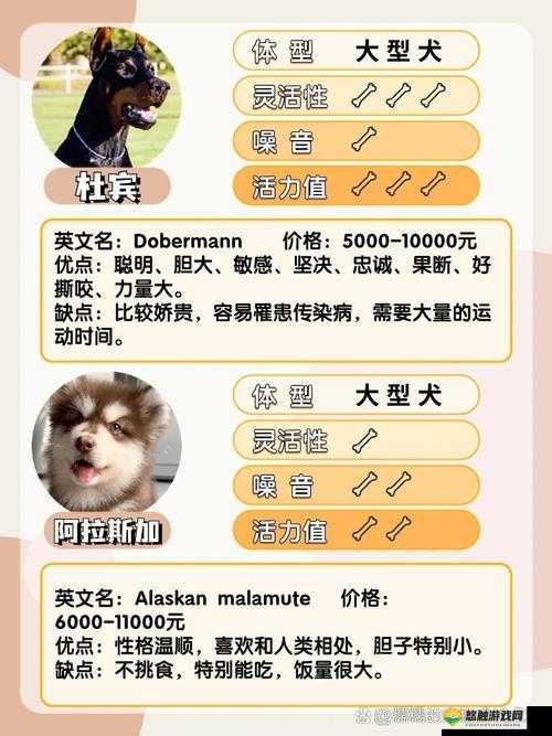 日本 mindup 狗与普通版对比-二者差异究竟在哪里及各自特点分析