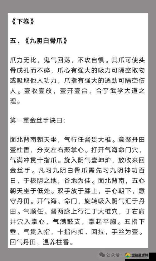 九阴真经四内秘技全揭秘:深度剖析与详细解读