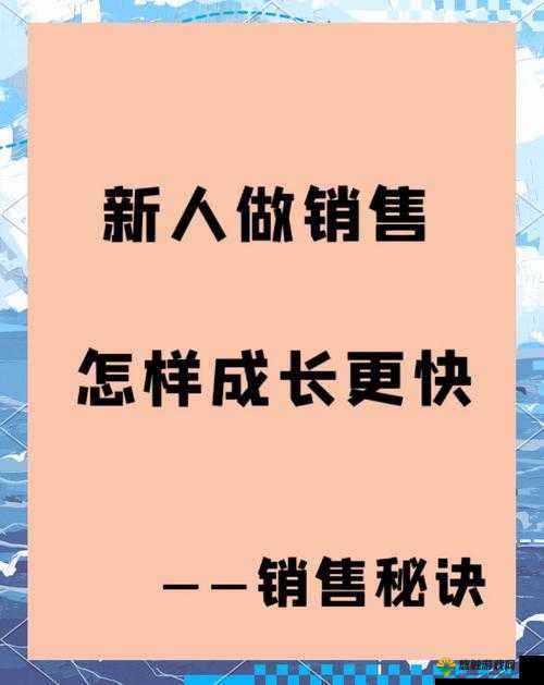 新手蜕变记,自媒体编辑快速成长秘籍