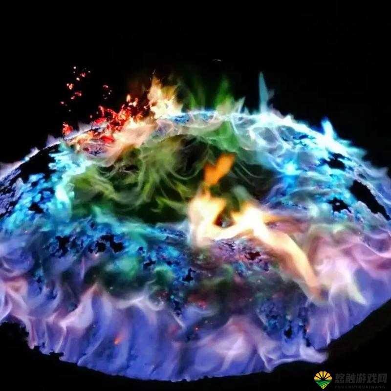 各种 B 型图片 展现多样形态与独特魅力的视觉盛宴