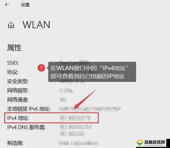 日本服务器免费 IP 地址浏览器:带来便捷的网络体验