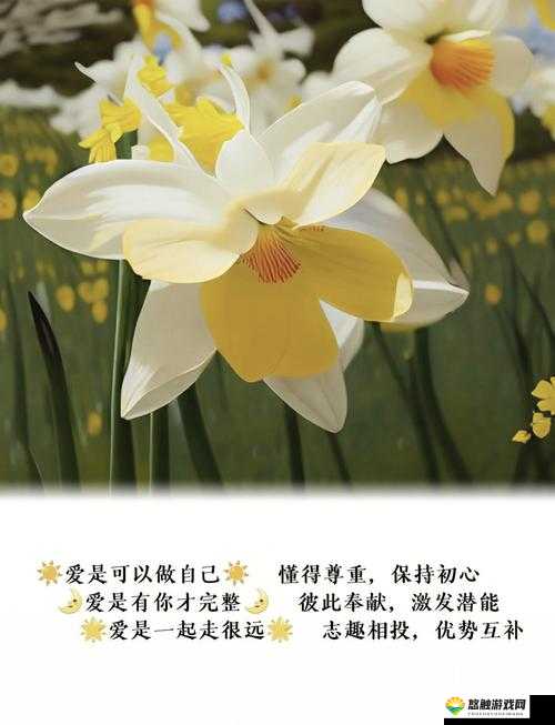 爱情岛独家论坛:探索爱的真谛与浪漫之旅的心灵港湾