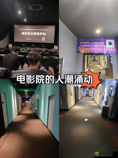 120 秒体验区 5 次:畅享极致体验之旅