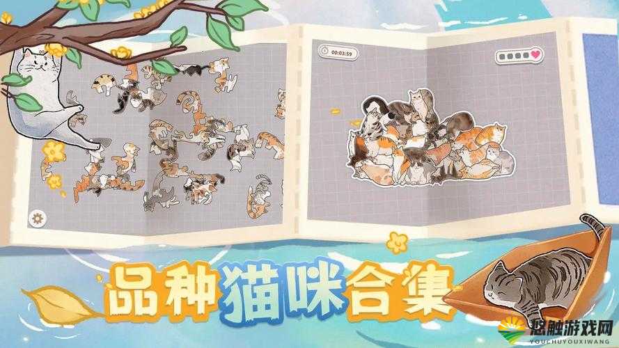 猫毛手游安卓版下载地址在资源管理中的重要性及高效利用策略