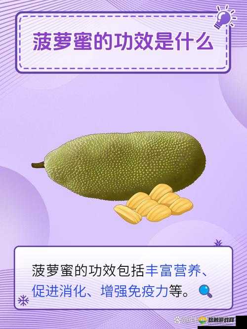 亚精产品一三三菠萝蜜:口感鲜美,营养丰富的热带水果