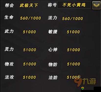 武极天下角色属性解析,了解角色属性和作用