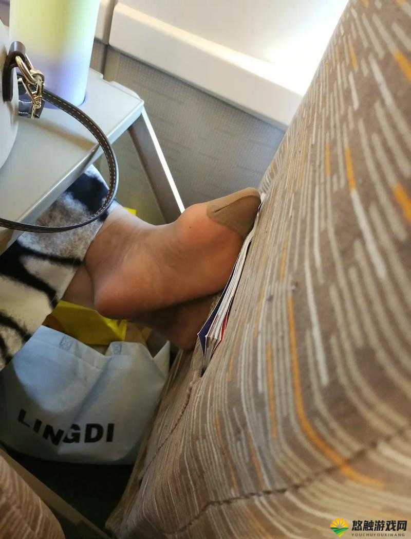 在火车上遇到咸猪爪:一段让人难以忘怀的经历