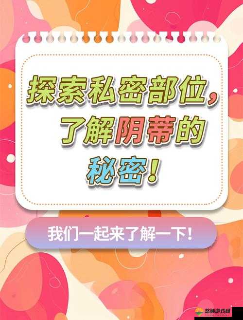 78 成年人网:探索成年人世界的私密花园