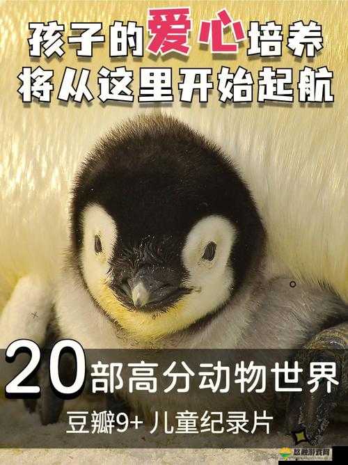 Q小益宠物技能揭秘,惊喜连连,高分爱心轻松拿!