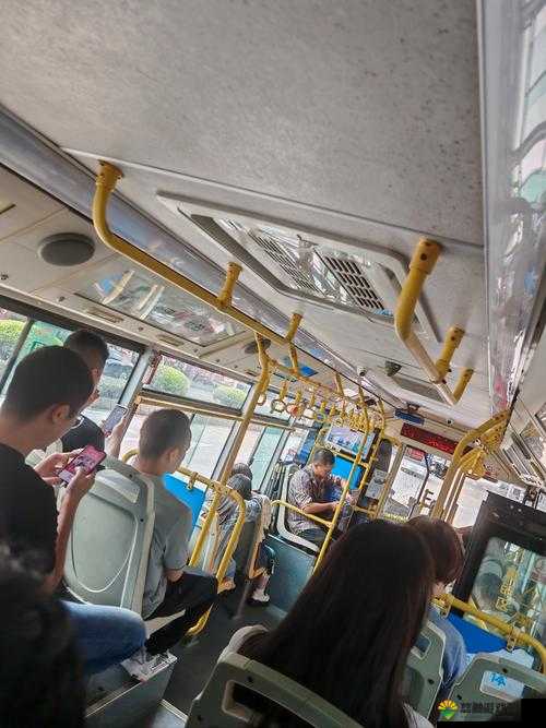 公交轶事:晃晃悠悠间的奇妙经历
