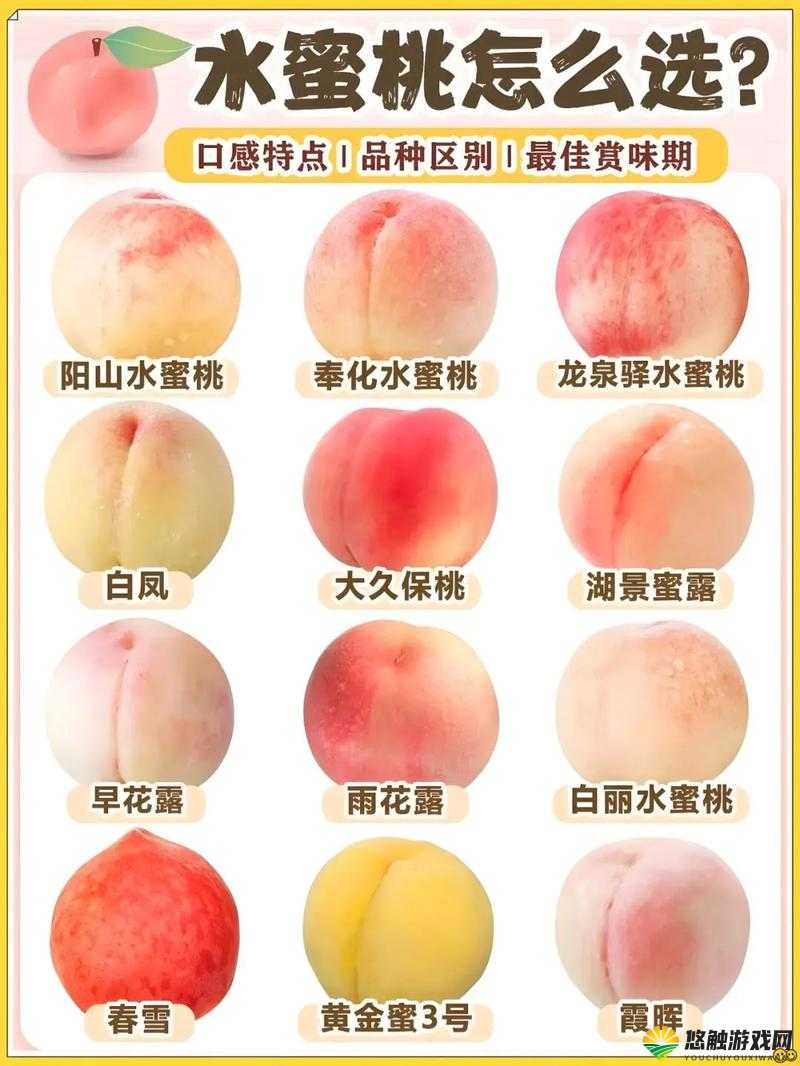 水蜜桃成年人璜铯软件:一款集视觉与听觉于一体的软件