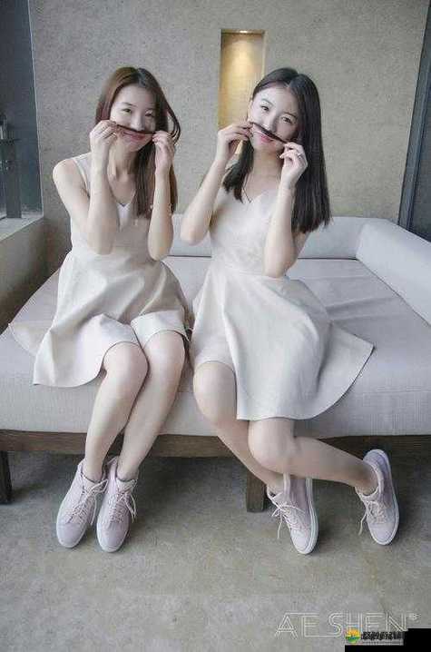 双胞胎姐妹齐上阵许多人物:她们的奇妙冒险与多彩故事