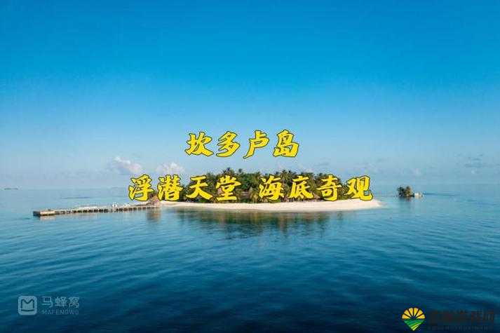 探索天堂 www 在线资源的无尽精彩与奥秘