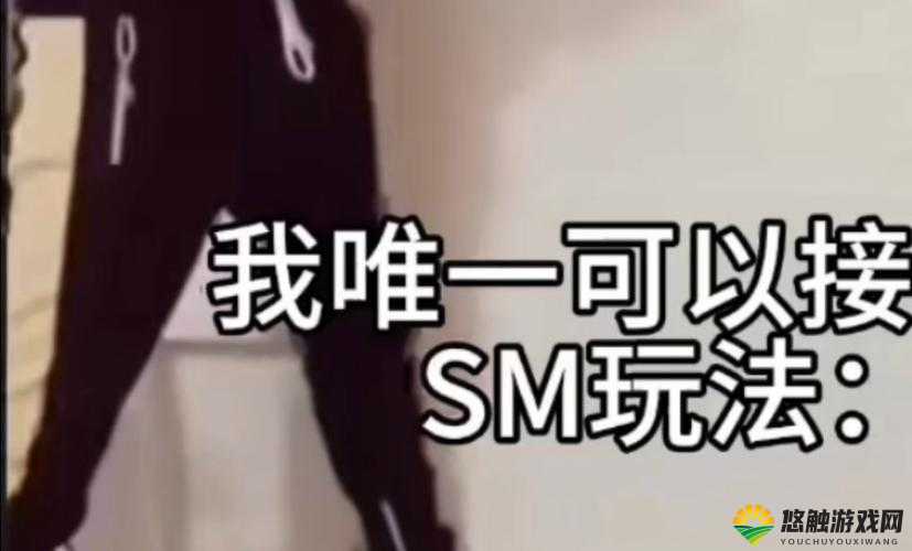S 玩 M 的 100 种方法:探索无尽的性趣之旅