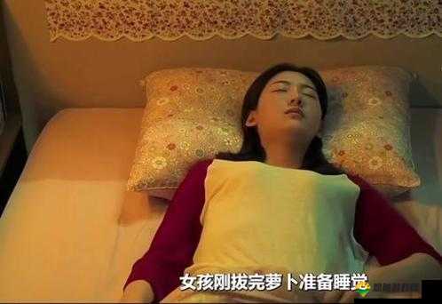 拨萝卜不盖被子:揭示生活中被忽视的小细节