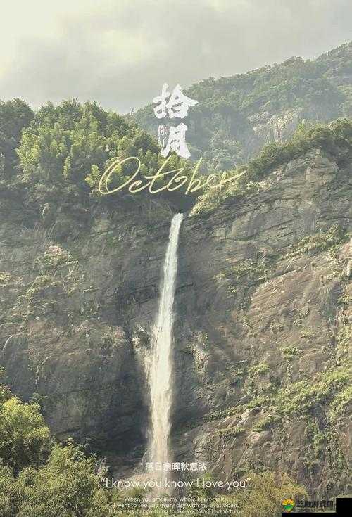 中国 XXXXXL18:探索未知领域的非凡之旅